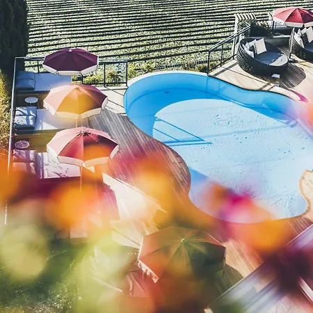 Hotel Golserhof 4*